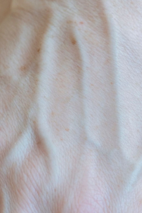 Caucasian adult woman's hand veins